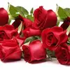 roseelmore61 - @roseelmore61 - TikTok