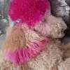Trugay1&Only - @roseelmore - TikTok