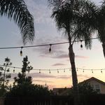 @tara.rose.erwin - Instagram
