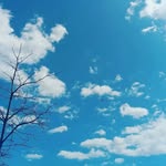 RoseEspinoza - @roseespinoza93 - Instagram