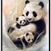 Rose Faircloth - Facebook