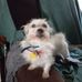 Rose Farris - Facebook
