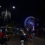 Rose Feldmann - @rose.feldmann.52 - Instagram