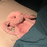 @rosef_ield - Instagram