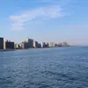 rose.field - @rose.field - TikTok