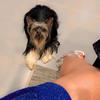 ROSE.FIORE - @rose.fiore - TikTok
