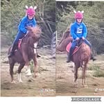 Isabelle Rose Firth - @isabelle_and_poneys_ - Instagram