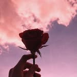 Rose 🌹💐 - @rose_firth - Instagram