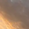 rose.firth3 - @rose.firth3 - TikTok