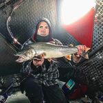 Patrick Rose - @patrickrose_fishman - Instagram