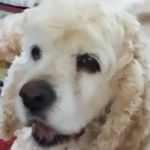 Rose Forbes - @rose.forbes.73 - Instagram