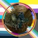 Forrest Riverr Rose - @forrestriverrrose - Instagram