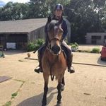 Rose Freeman - @rosefreeman42 - Instagram
