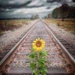 Rose Furman - @furman.rose - Instagram