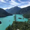 rose.gaines_ - @rose.gaines_ - TikTok