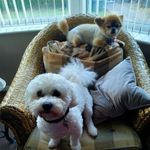 Rose Gale - @rose.gale.756 - Instagram