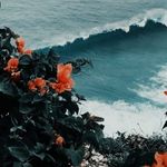 @rosegandy_2020 - Instagram