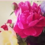 Rose Gannon - @my_name_is_rose_gannon - Instagram