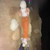 LoganroseGingrich - @logan_gingrich - TikTok