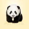 Chloe Rose Glatz - @pandascupcake - TikTok