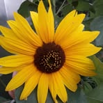 Rosi Glatz - Facebook