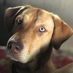 Audrey Rose Goins - @audreyrosegoins - Instagram
