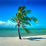 Rose Goins - @rosebengals - Instagram