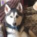 Rose Edwards Goodman - Facebook