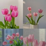 Rose Grande - Facebook