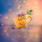 Sarah Elsir Ali - @rose.hanks.3 - Instagram