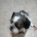 Rose Harrod - Facebook