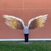Rose Harrod - Facebook