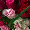 Rosa Harwell - @rosaharwell - TikTok