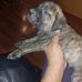 Rose Hebert - Facebook