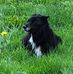 Rose Hebert - Facebook