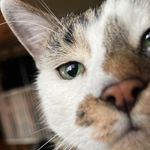 Rose Heck Beissel - @rosebeissel - Instagram