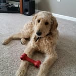 Rosie Hemphill - @rosie.hemphill - Instagram