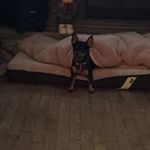 Rose Miller Hensley - @hensleyrose - Instagram