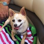 Rose S Miller Hensley - @rosesmillerhensley - Instagram