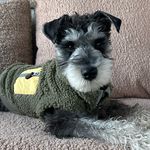 Cosmo Von Rose Rice-Herrington - @curiouscosmo20 - Instagram