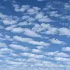 Rose Cherrington - @rose.cherrington - TikTok