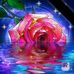 Rose Hinton - Facebook