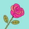 RMH007 - @rosehirsch1 - TikTok