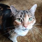 Rose Holcomb - @roseholcomb38 - Instagram