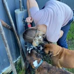 Azabeth Rose Hook - Facebook