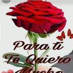 rose Hook - @rose254881 - Instagram