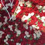 Rose Jaramillo - @rmjblu - Instagram