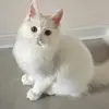 rose.John - @rose.john870 - TikTok