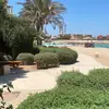 rosekaram0 - @rosekaram0 - TikTok