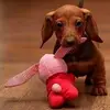 Rose - @rosekasper - TikTok